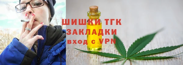 сатива Сосновка
