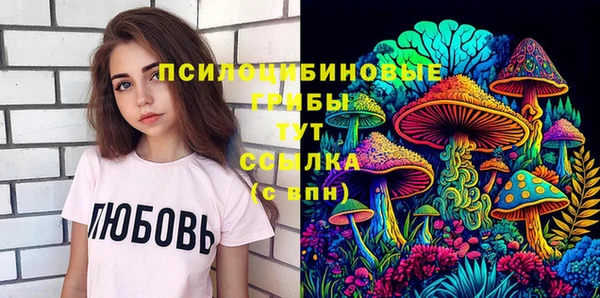 молекула духа Баксан