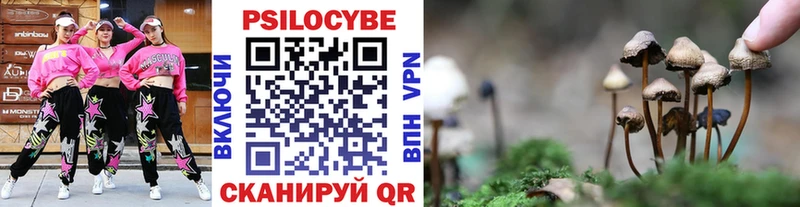 Галлюциногенные грибы Psilocybine cubensis  как найти закладки  Тырныауз 