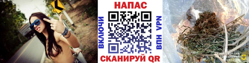 Бошки Шишки семена  Тырныауз 